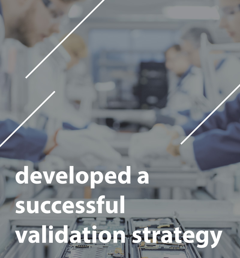Text saying developed a successful validation strategy